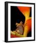 Chachi Tree Frog, Choco Forest, Ecuador-Pete Oxford-Framed Photographic Print