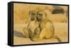 Chacma Baboon 2 Subadults in the Light-null-Framed Stretched Canvas