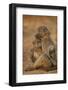 Chacma baboon (Papio ursinus) comforting a young one, Kruger National Park, South Africa, Africa-James Hager-Framed Photographic Print