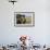 Chacma Baboon (Papio Ursinus) Infant Playing with Ostrich Feather-Tony Phelps-Framed Photographic Print displayed on a wall