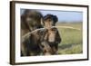 Chacma Baboon (Papio Ursinus) Infant Playing with Ostrich Feather-Tony Phelps-Framed Photographic Print