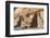 Chaco Culture National Historical Park-Richard Maschmeyer-Framed Photographic Print