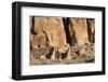 Chaco Culture National Historical Park-Richard Maschmeyer-Framed Photographic Print