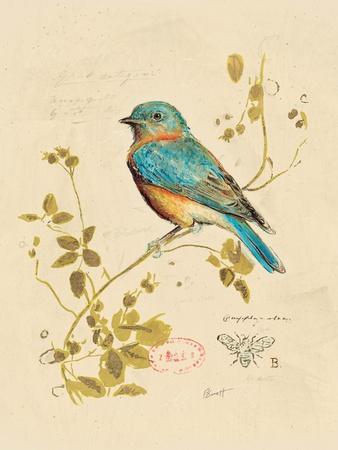 Gilded Songbird 4
