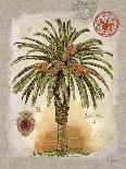 Linen Fan Palm Tree-Chad Barrett-Art Print