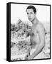 Chad Everett-null-Framed Stretched Canvas