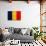Chad Flag Design with Wood Patterning - Flags of the World Series-Philippe Hugonnard-Art Print displayed on a wall