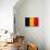 Chad Flag Design with Wood Patterning - Flags of the World Series-Philippe Hugonnard-Art Print displayed on a wall