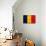 Chad Flag Design with Wood Patterning - Flags of the World Series-Philippe Hugonnard-Mounted Art Print displayed on a wall