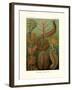 Chaetopoda, 1899-1904-null-Framed Giclee Print