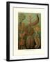 Chaetopoda, 1899-1904-null-Framed Giclee Print