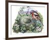 Chaffinch (Fringilla Coelebs) Building Nest-null-Framed Giclee Print