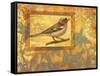 Chaffinch on Golden Background-Maria Rytova-Framed Stretched Canvas