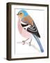 Chaffinch Sitting on a Tree Branch-Milovelen-Framed Art Print