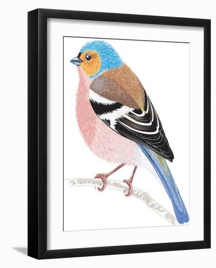 Chaffinch Sitting on a Tree Branch-Milovelen-Framed Art Print