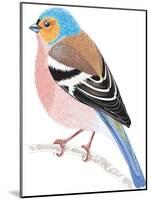 Chaffinch Sitting on a Tree Branch-Milovelen-Mounted Art Print