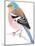 Chaffinch Sitting on a Tree Branch-Milovelen-Mounted Art Print