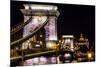 Chain Bridge, St. Stephens. Danube River Reflection, Budapest, Hungary-William Perry-Mounted Photographic Print