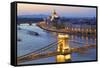 Chain Bridge-Neil Farrin-Framed Stretched Canvas