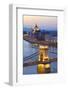 Chain Bridge-Neil Farrin-Framed Photographic Print