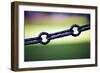 Chain Link-Felipe Rodríguez-Framed Photographic Print