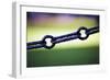 Chain Link-Felipe Rodríguez-Framed Photographic Print