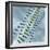 Chain of Molecules-null-Framed Photographic Print