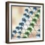 Chain of Molecules-null-Framed Photographic Print