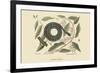 Chain Snake-Mark Catesby-Framed Premium Giclee Print