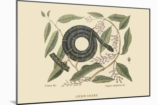 Chain Snake-Mark Catesby-Mounted Art Print