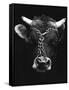 Chained bull-Tony Boxall-Framed Stretched Canvas