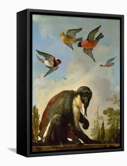 Chained Monkey in a Landscape-Melchior de Hondecoeter-Framed Stretched Canvas