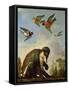 Chained Monkey in a Landscape-Melchior de Hondecoeter-Framed Stretched Canvas