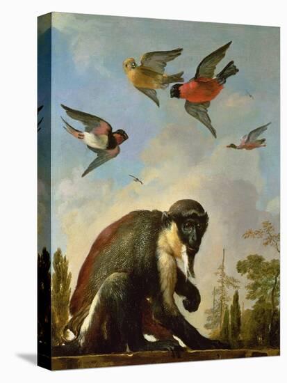 Chained Monkey in a Landscape-Melchior de Hondecoeter-Stretched Canvas