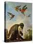 Chained Monkey in a Landscape-Melchior de Hondecoeter-Stretched Canvas