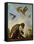 Chained Monkey in a Landscape-Melchior de Hondecoeter-Framed Stretched Canvas