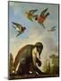 Chained Monkey in a Landscape-Melchior de Hondecoeter-Mounted Giclee Print