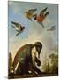 Chained Monkey in a Landscape-Melchior de Hondecoeter-Mounted Giclee Print