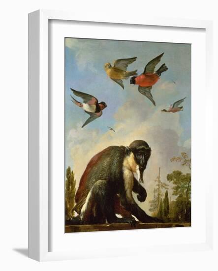 Chained Monkey in a Landscape-Melchior de Hondecoeter-Framed Giclee Print