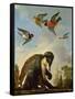 Chained Monkey in a Landscape-Melchior de Hondecoeter-Framed Stretched Canvas