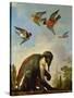 Chained Monkey in a Landscape-Melchior de Hondecoeter-Stretched Canvas