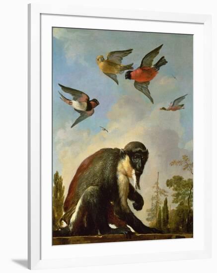 Chained Monkey in a Landscape-Melchior de Hondecoeter-Framed Giclee Print