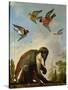 Chained Monkey in a Landscape-Melchior de Hondecoeter-Stretched Canvas