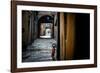 Chains-Stefano Corso-Framed Photographic Print