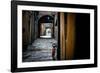 Chains-Stefano Corso-Framed Photographic Print