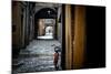 Chains-Stefano Corso-Mounted Photographic Print