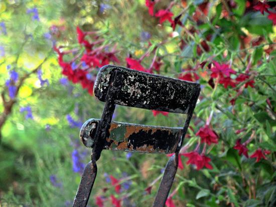Photographic Print, , large