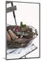 Chair in the Snow, Basket with Plug and Holly-Andrea Haase-Mounted Photographic Print