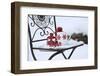 Chair in the Snow with Christmassy Still Life-Andrea Haase-Framed Photographic Print