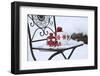 Chair in the Snow with Christmassy Still Life-Andrea Haase-Framed Photographic Print